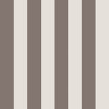 Stripe Cacao