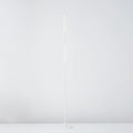Tom Kirk Lighting Reed Floor Light