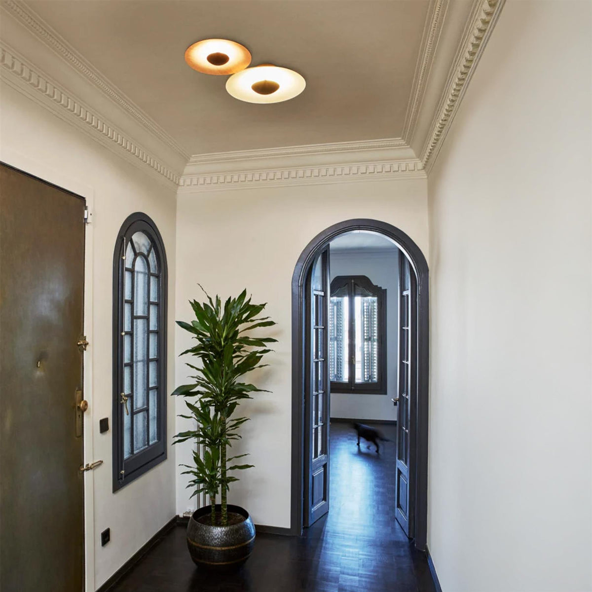 Marset Ginger Ceiling Light