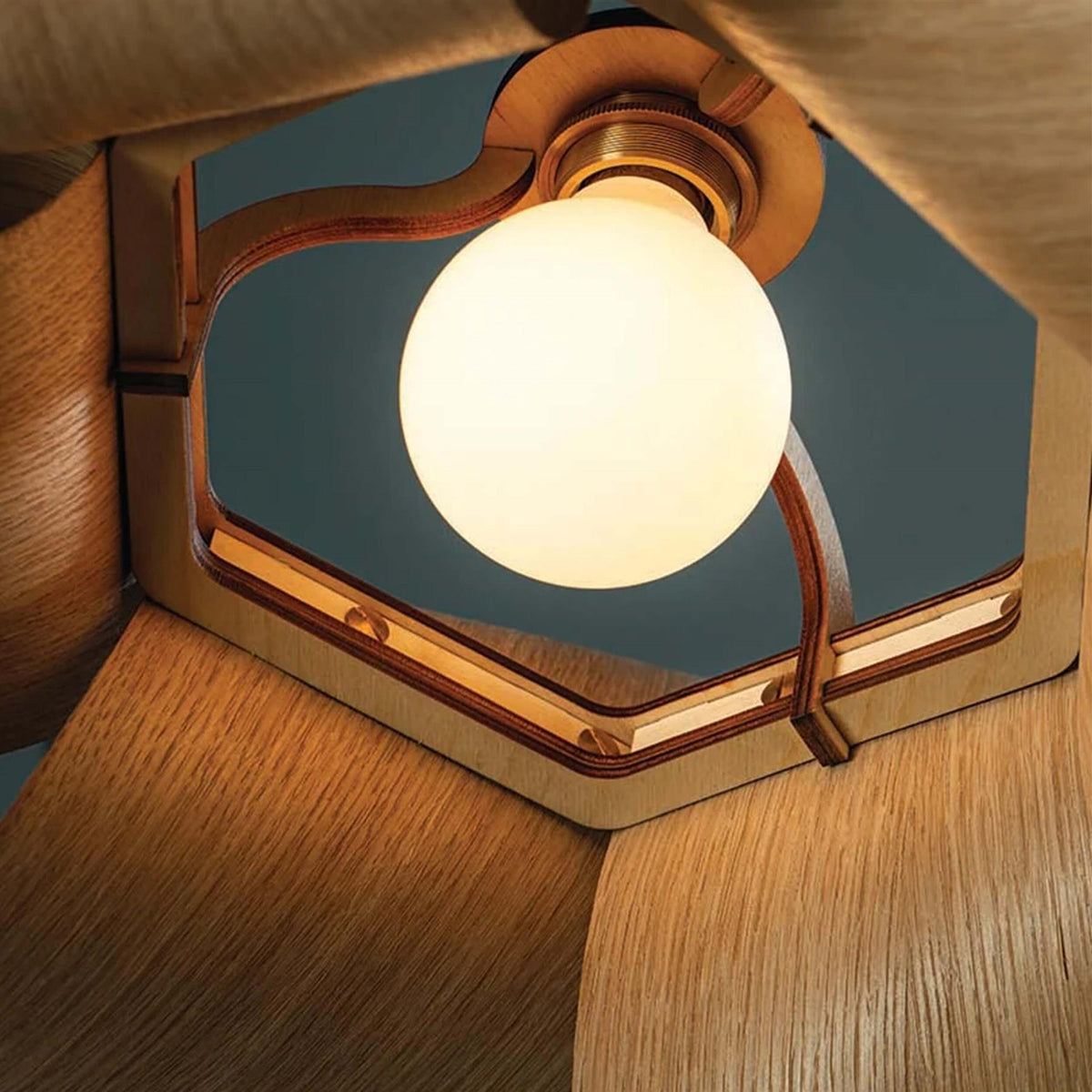 Tom Raffield Drift Pendant Light