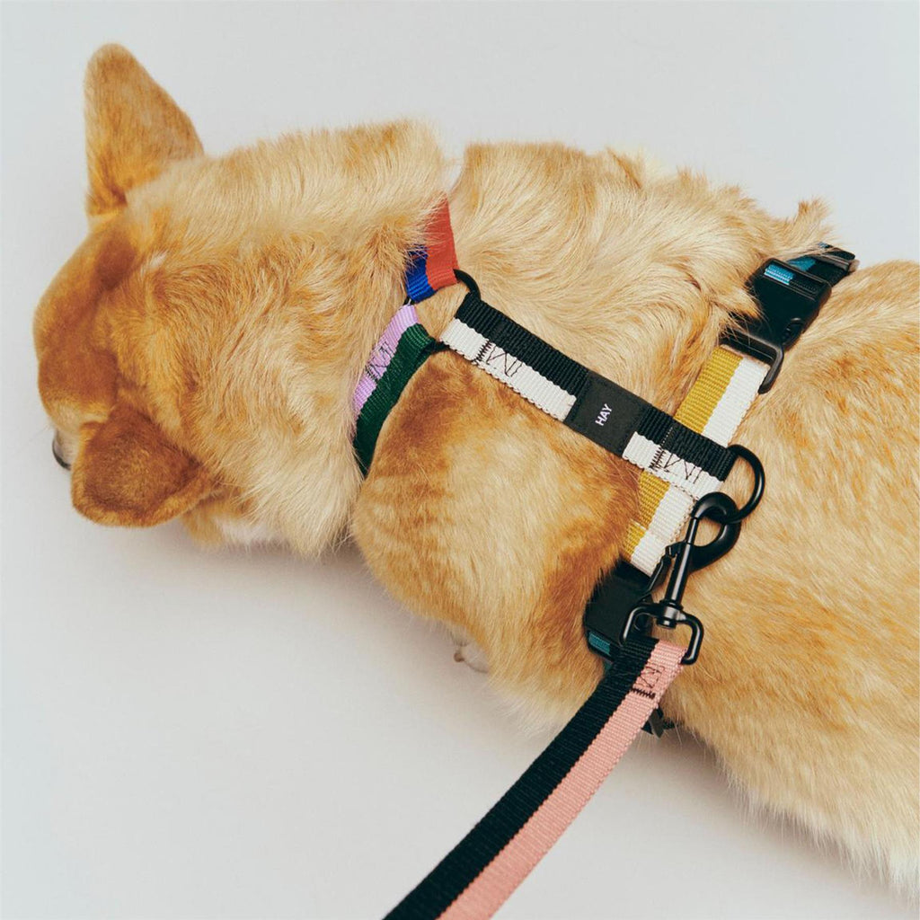 HAY Dog Harness