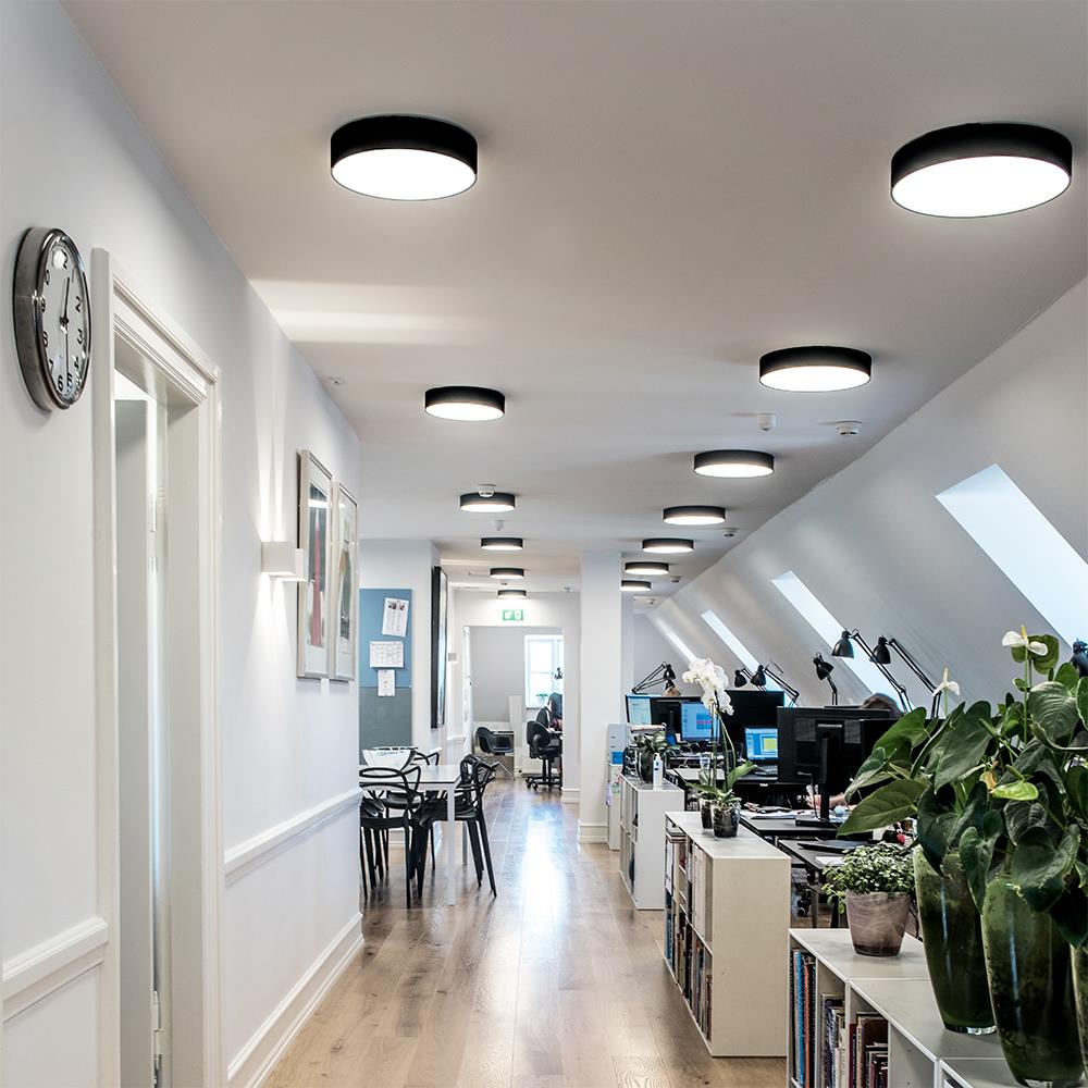 Light Point Surface Ceiling Light