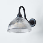Old School Electric Prismatic Dome Wall Light : Swan Arm : Bathroom Version