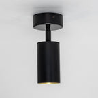 Mullan Lighting Evanston Directional Brass Ceiling Spotlight