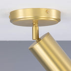 Mullan Lighting Evanston Directional Brass Ceiling Spotlight
