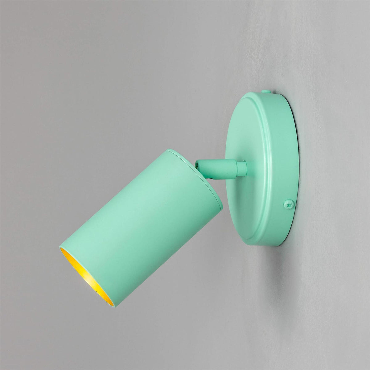 Mullan Lighting Evanston Directional Brass Wall Spotlight