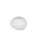 Foscarini Gregg Wall/ Ceiling Light