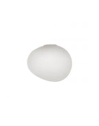 Foscarini Gregg Wall/ Ceiling Light