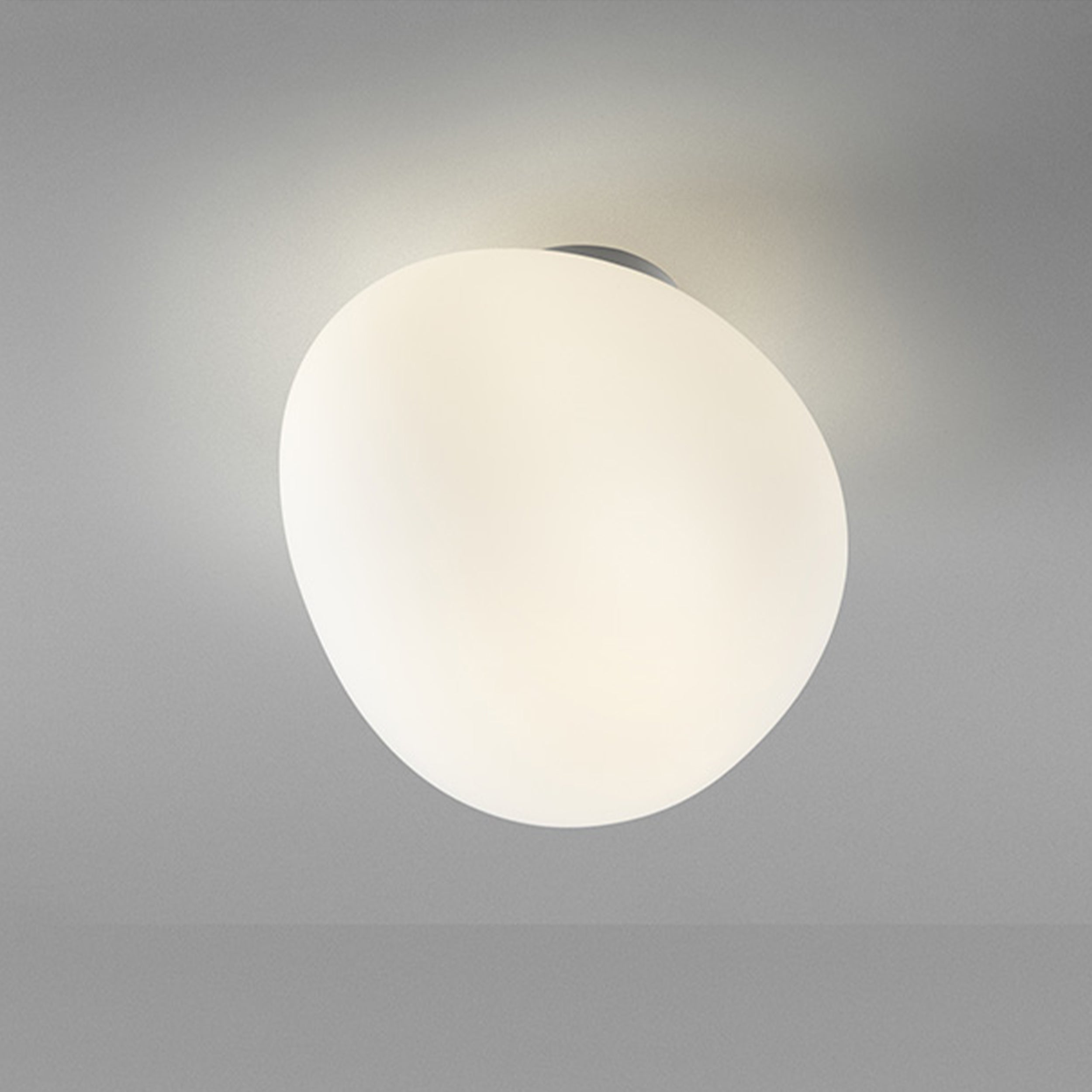 Foscarini Gregg Wall/ Ceiling Light