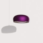 Petite Friture Brush Pendant Light