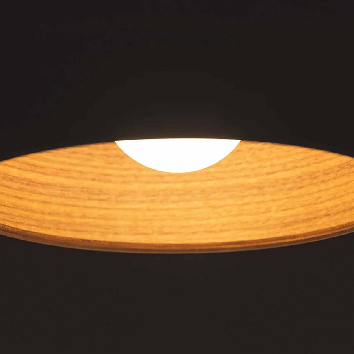 Tom Raffield Stem Floor Light