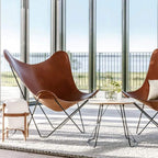 Pampa Mariposa Butterfly Chair