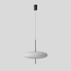 Model 2065 Pendant