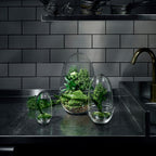 Design House Stockholm Grow Greenhouse