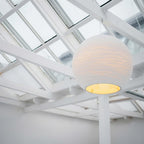 Graypants Sun Pendant Light