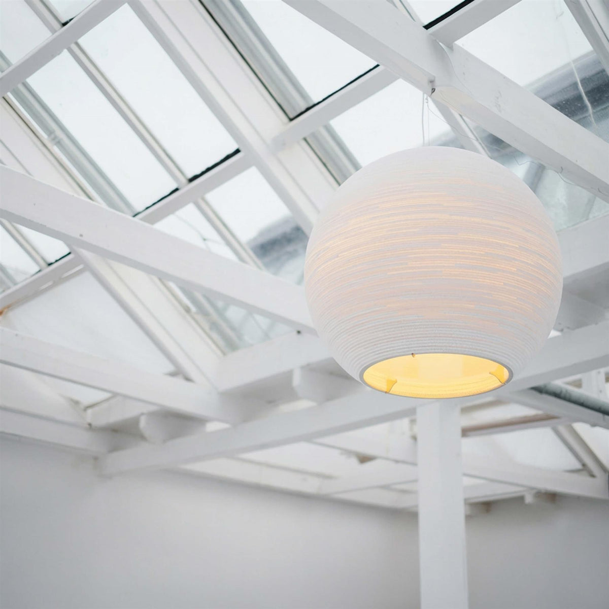 Graypants Sun Pendant Light