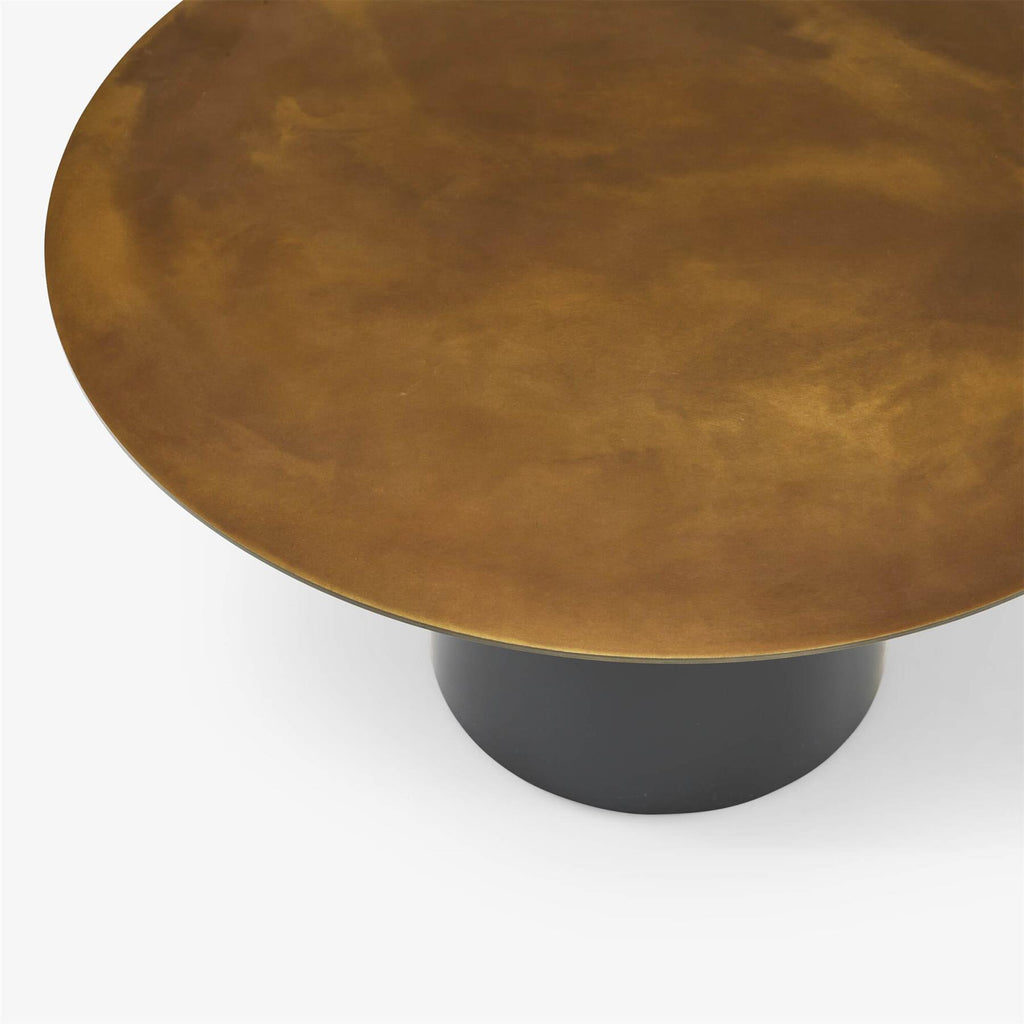 Ligne Roset Oxydation Coffee Table