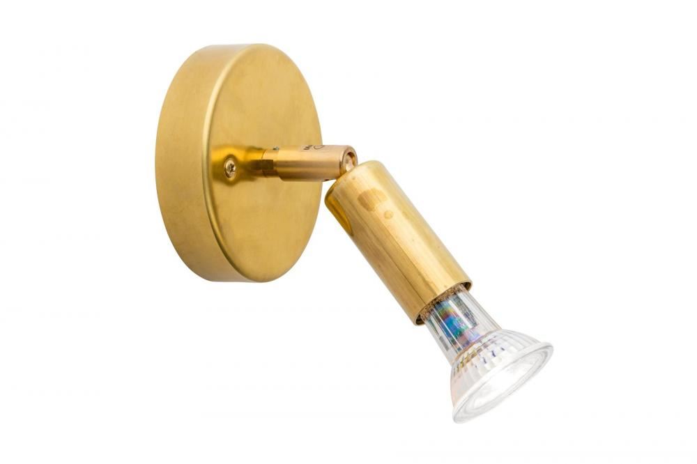 Star 1 Spotlight