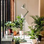 Anglepoise Original 1227 National Trust Edition Floor Lamp