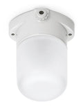 Old School Electric Scandilux ceiling light