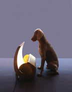 Nemo Escargot Floor Lamp