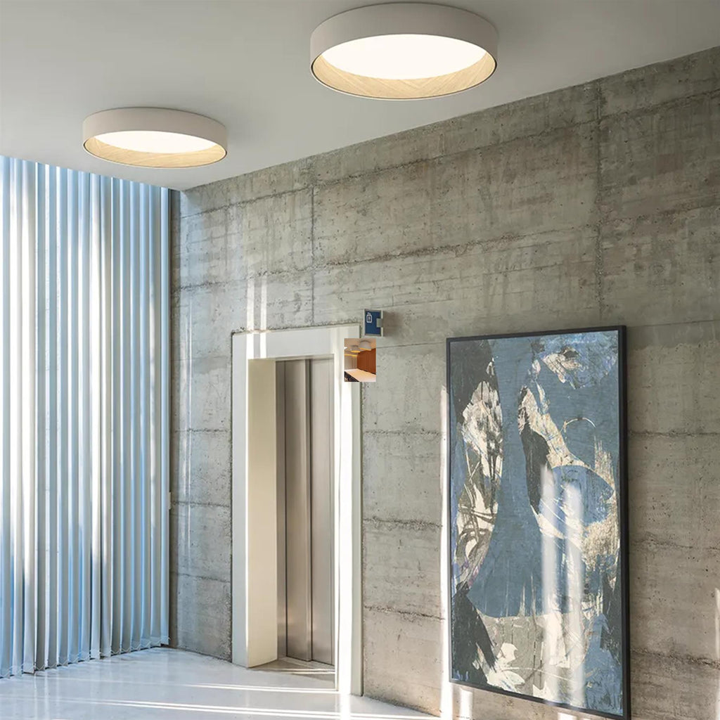 Vibia Duo Ceiling Light
