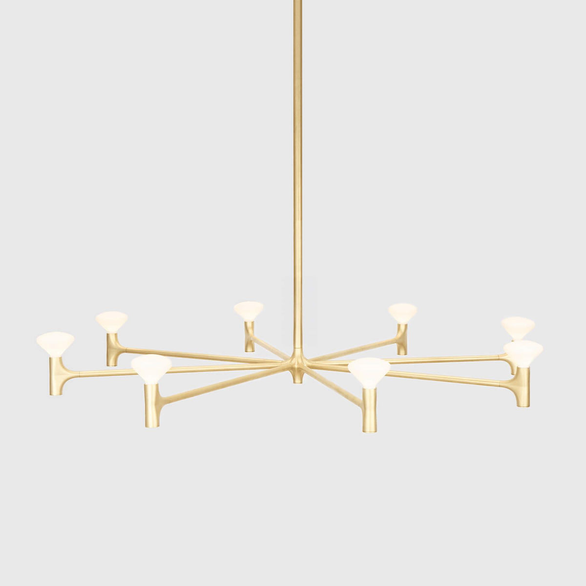 Tala Root Chandelier