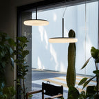 AGO Mozzi Pendant Light