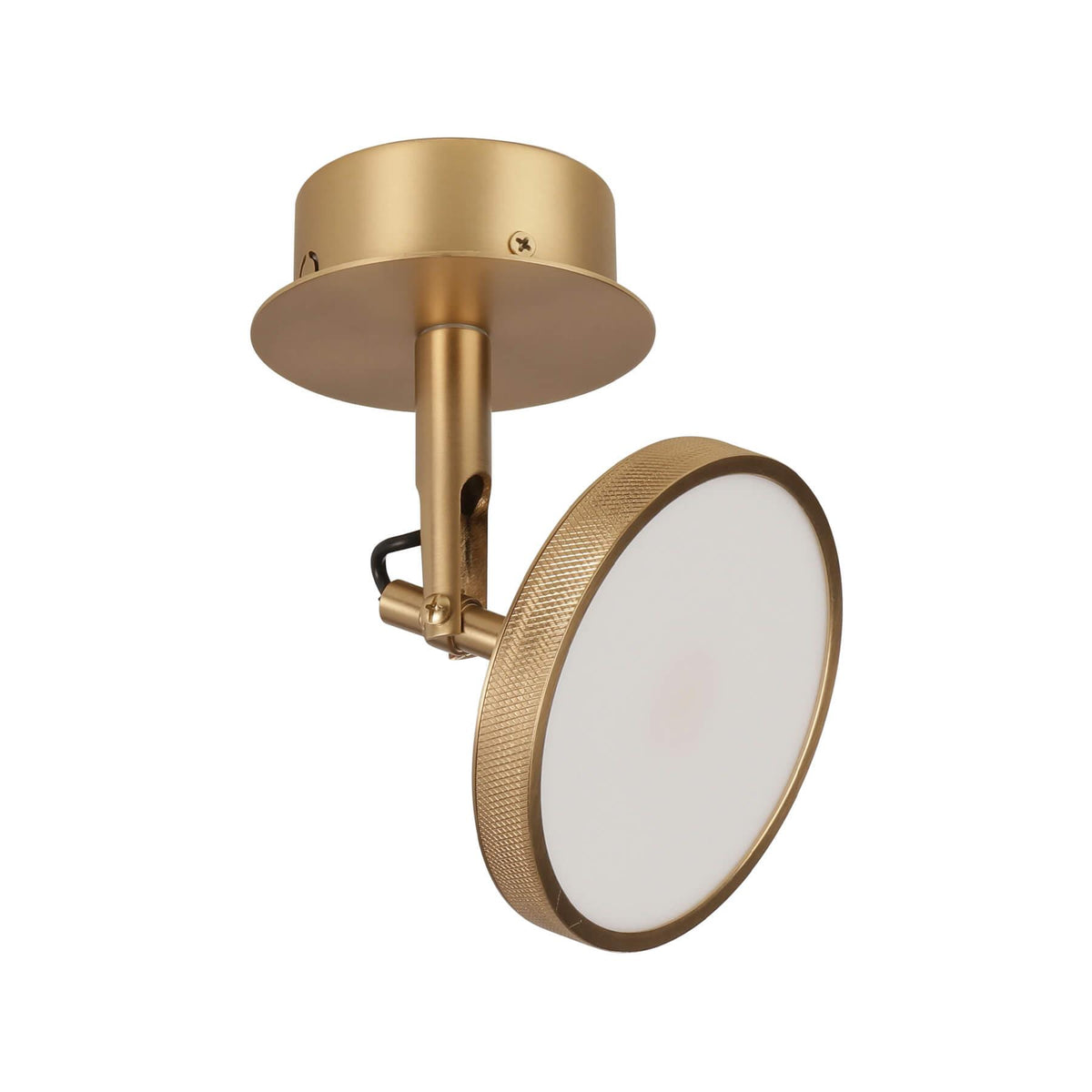 Outlet Umage Asteria Spot Ceiling / Wall Light - Polished Brass