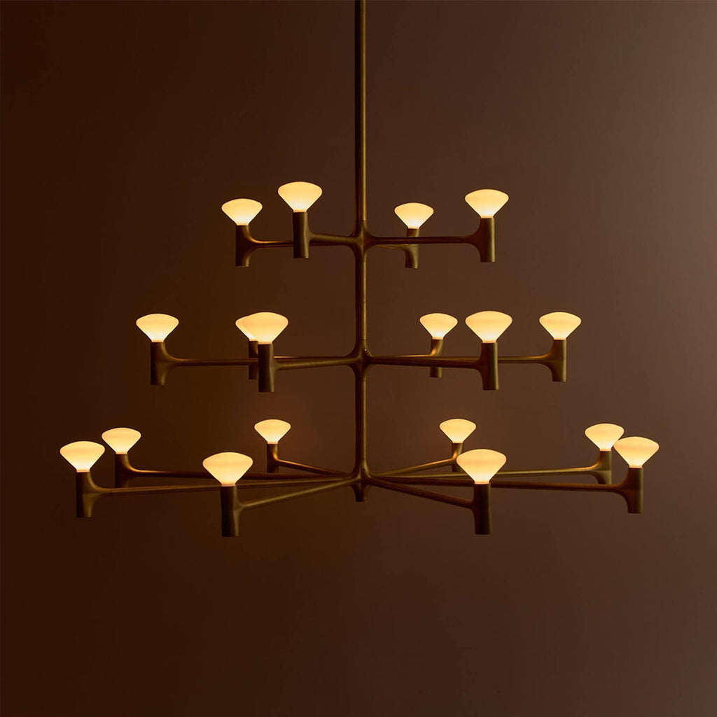 Tala Root Chandelier
