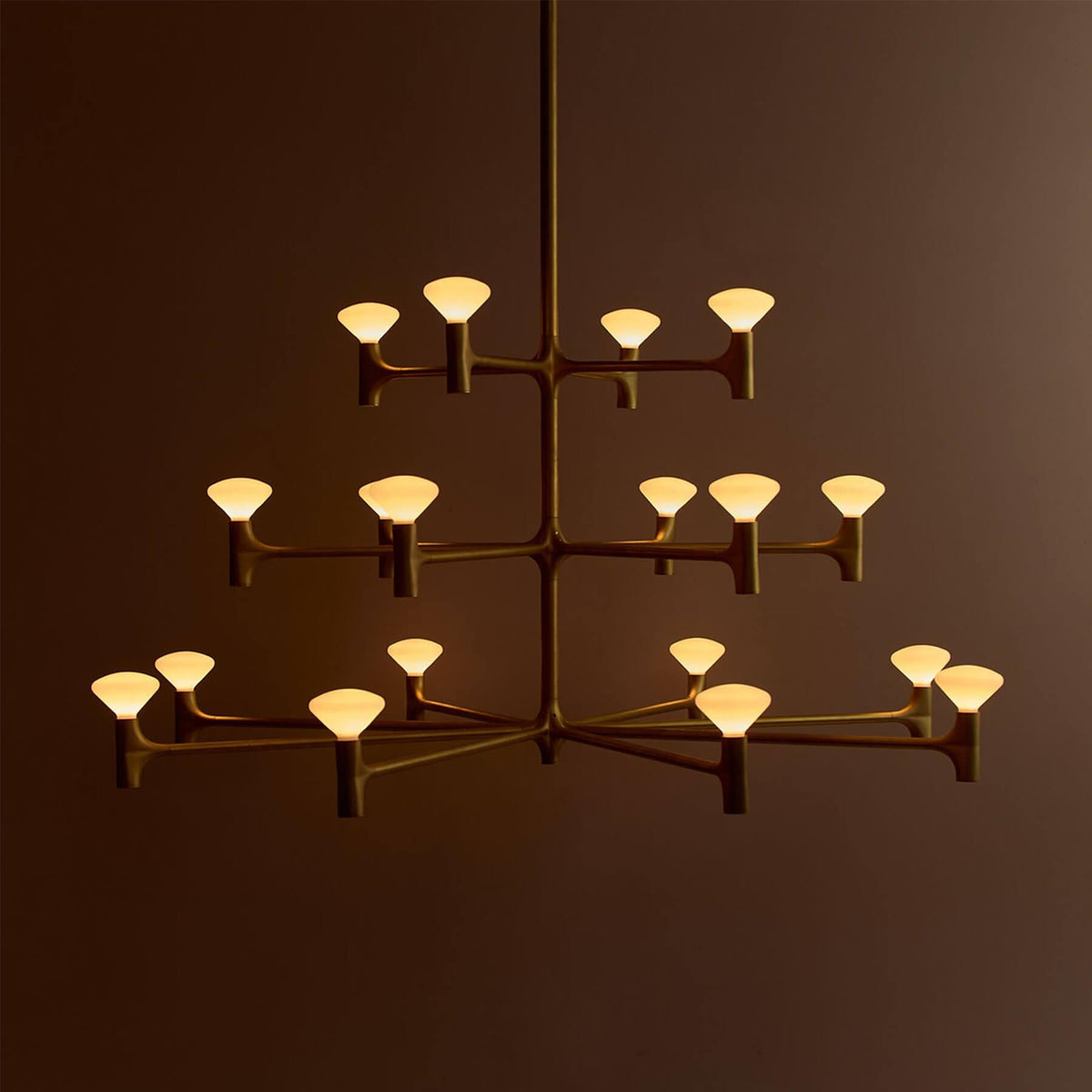 Tala Root Chandelier