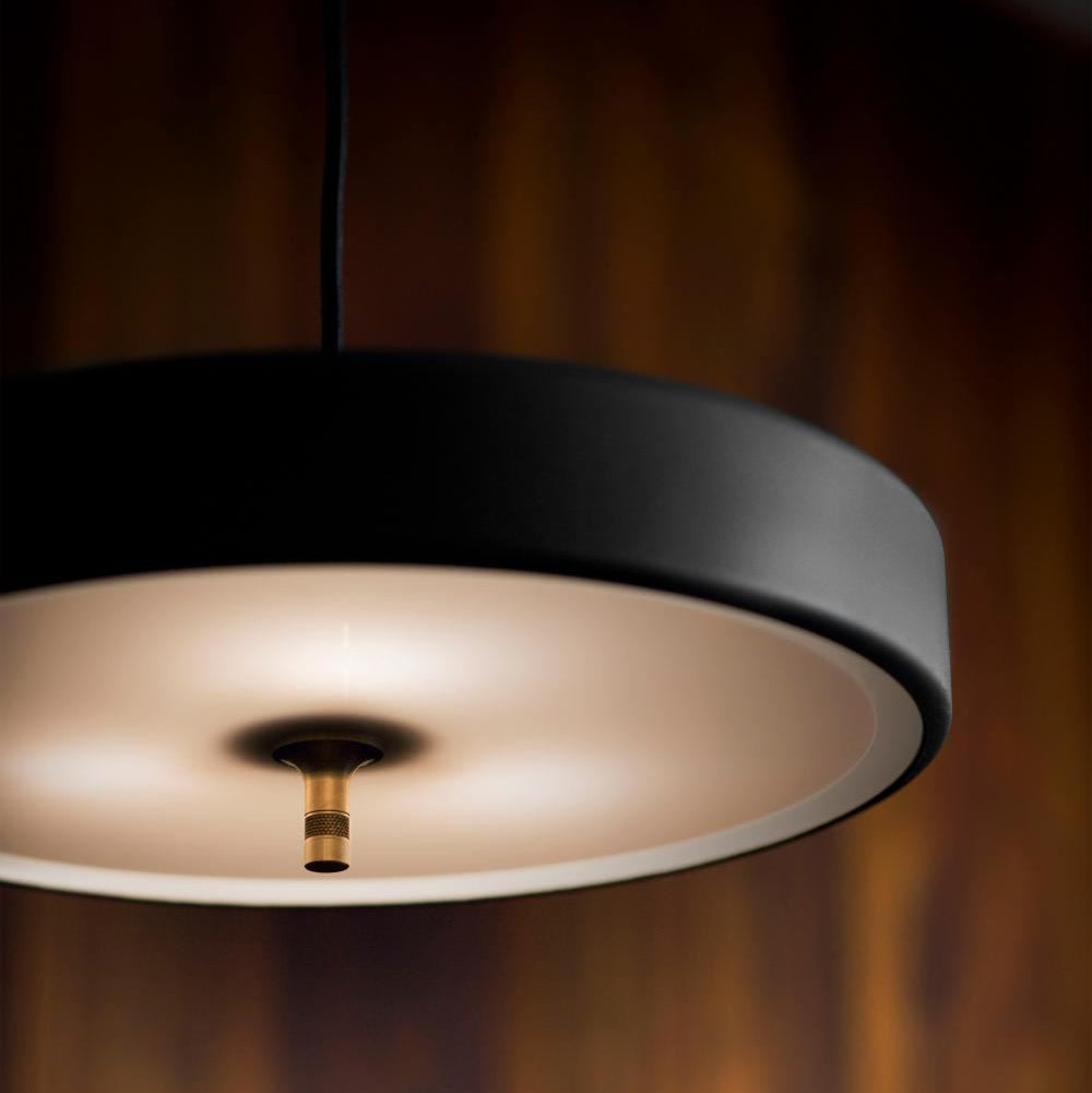 Bert Frank Revolve Pendant Light
