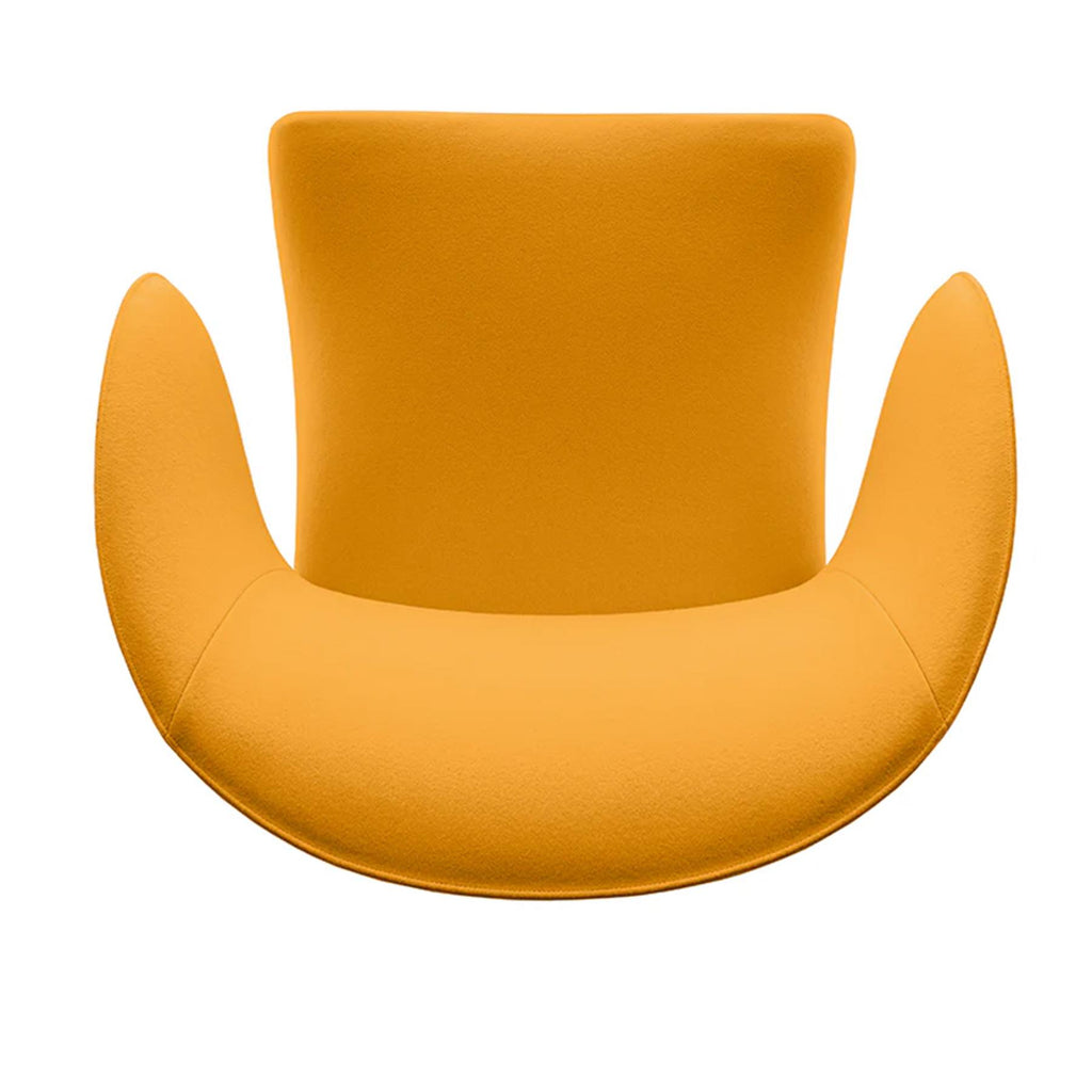 B&B Italia Narinari Lounge Armchair