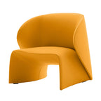 B&B Italia Narinari Lounge Armchair