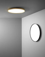 Compendium Plate Wall or Ceiling light