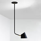 Darmes Hartau Ceiling Light