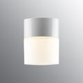 Old School Electric Opus 125 ceiling light