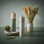 Peugeot Boreal Salt & Pepper Mill Gift Set