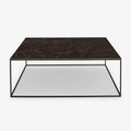 Ligne Roset Space Coffee Table