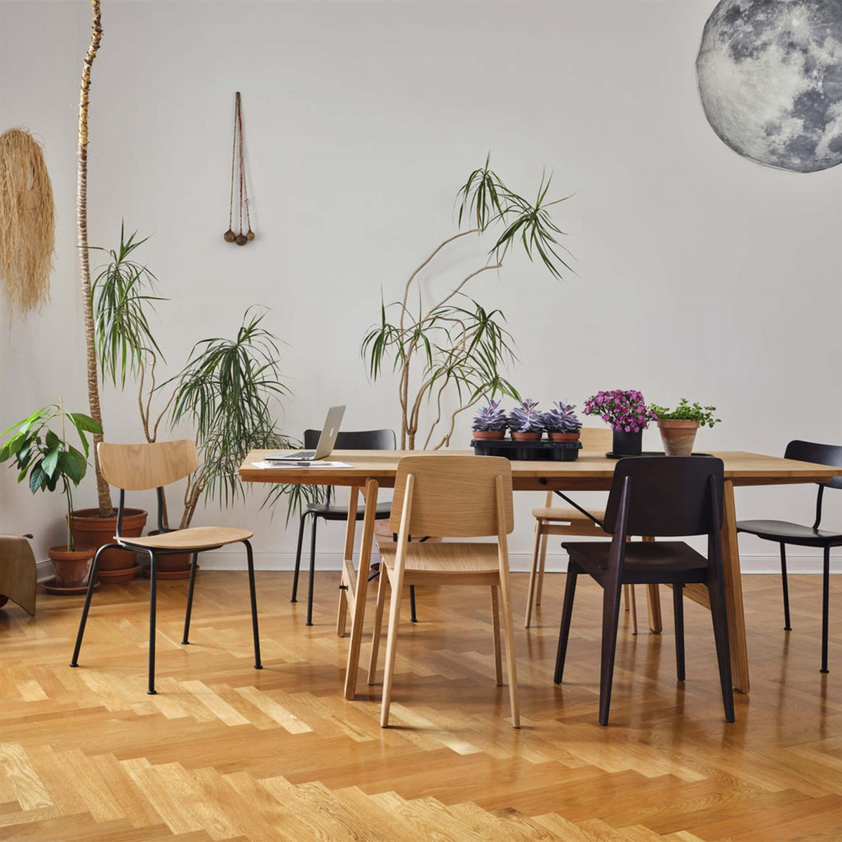 Vitra Chaise Tout Bois Dining Chair