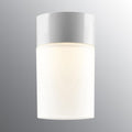 Old School Electric Opus 175 Sauna Wall or Ceiling Light