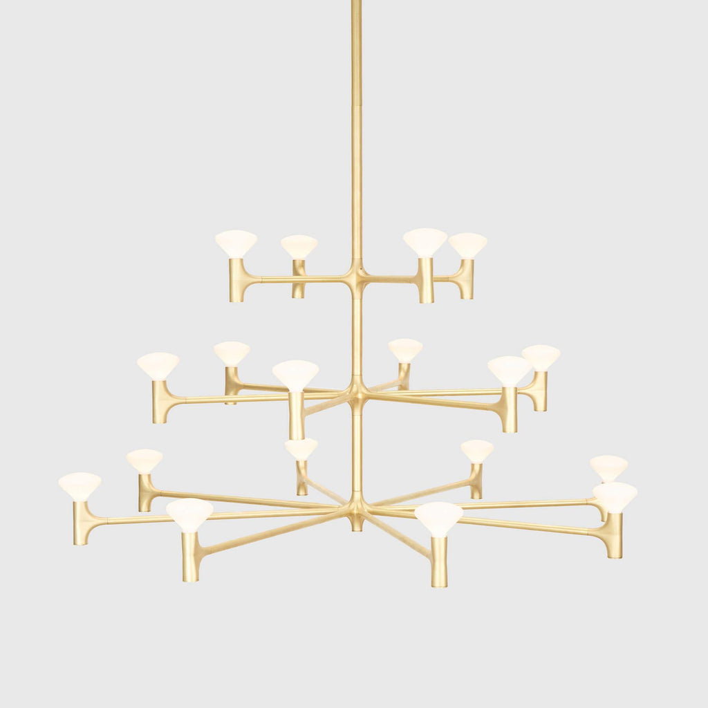 Tala Root Chandelier