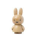 BOYHOOD Miffy