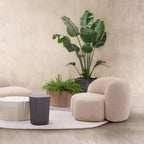 Kartell Aaland Armchair Tissue Gorgone
