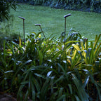 Bover Birdie Outdoor Bollard Light
