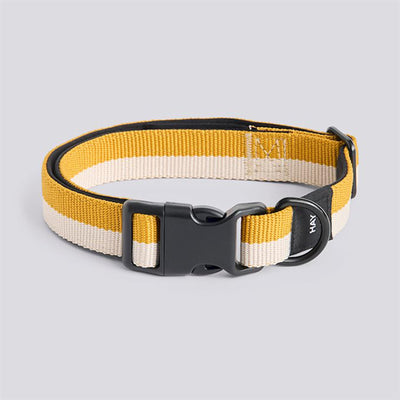HAY Dogs Collar