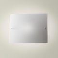Foscarini Folio Ceiling or Wall Light