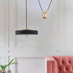 Bert Frank Revolve Rise And Fall Pendant Light