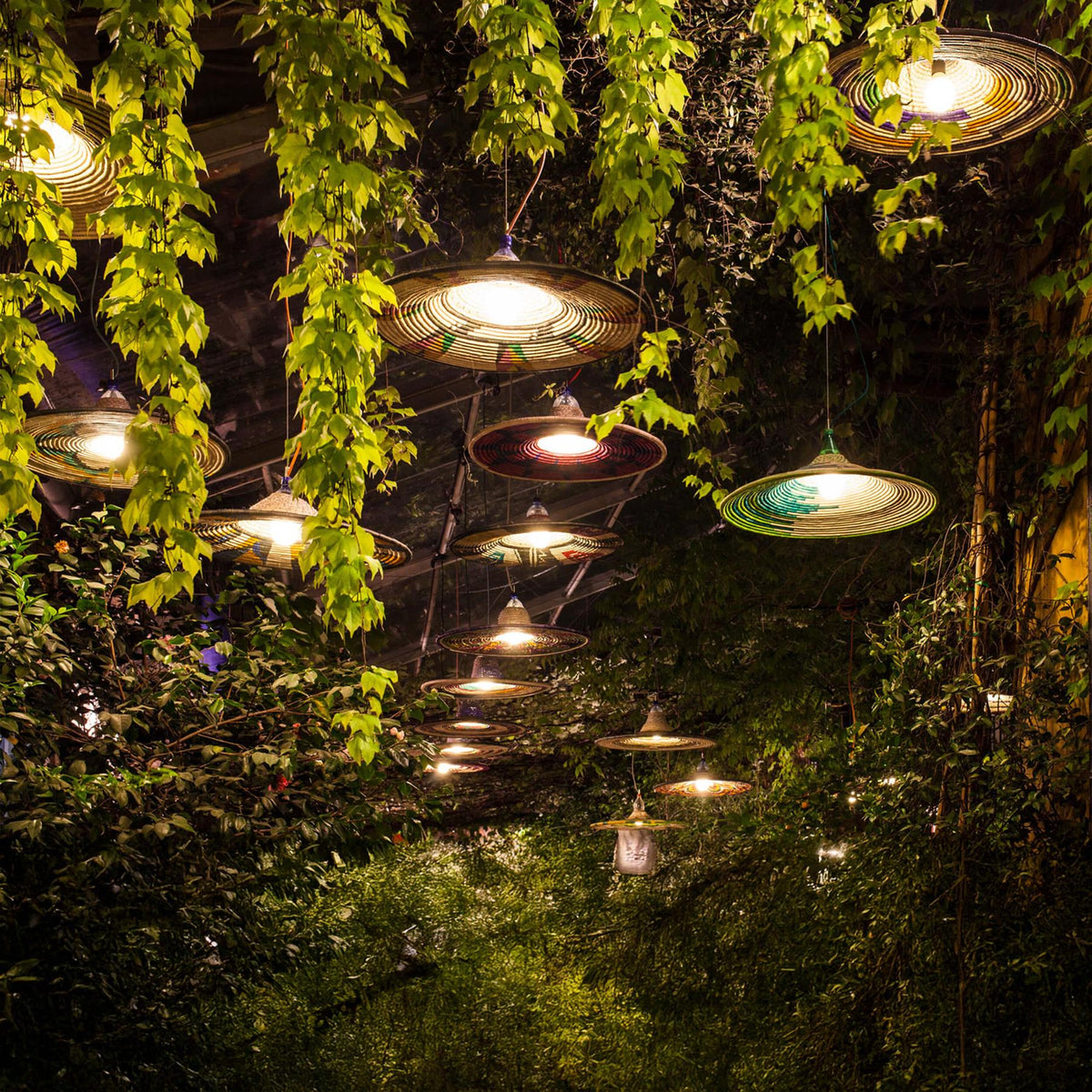 PET Lamp Abyssinia Pendant Light