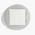 RTH Gotchi Mirror